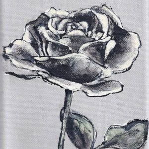 Rose 2 by Cathlyn Massingham-Underwood